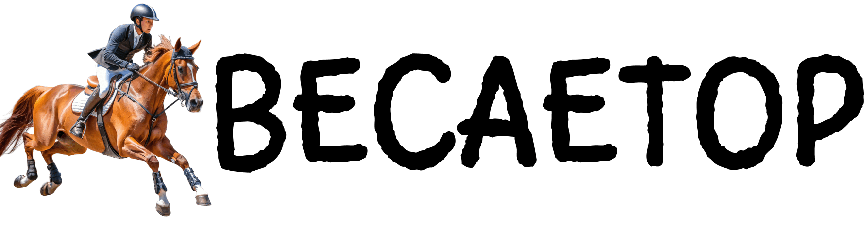 BECAETOP Logo